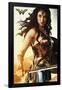 DC Comics Movie - Wonder Woman - Shield-Trends International-Framed Poster