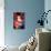 DC Comics - Superman - Portrait-Trends International-Poster displayed on a wall