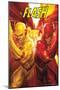 DC Comics - The Flash and The Reverse Flash - Race-Trends International-Mounted Poster