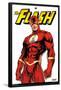 DC Comics - The Flash Feature Series-Trends International-Framed Poster