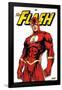 DC Comics - The Flash Feature Series-Trends International-Framed Poster