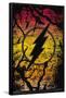 DC Comics - The Flash - Logo-Trends International-Framed Poster