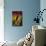 DC Comics - The Flash - Logo-Trends International-Mounted Poster displayed on a wall