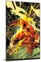 DC Comics - The Flash - Spears-Trends International-Mounted Poster