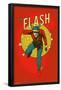 DC Comics - The Flash - VIntage-Trends International-Framed Poster