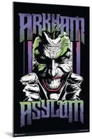 DC Comics The Joker - Arkham Asylum-Trends International-Mounted Poster