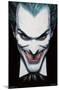 DC Comics - The Joker - Portrait-Trends International-Mounted Poster