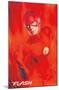 DC Comics TV - The Flash - Key Art-Trends International-Mounted Poster