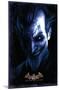 DC Comics VIdeo Game - Arkham Asylum - Joker-Trends International-Mounted Poster