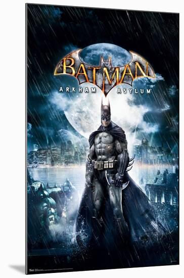 DC Comics VIdeo Game - Arkham Asylum - Key Art-Trends International-Mounted Poster