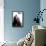 DC Comics VIdeo Game - Arkham City - Key Art-Trends International-Framed Poster displayed on a wall