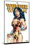 DC Comics - Wonder Woman Feature Series-Trends International-Mounted Poster