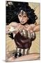 DC Comics - Wonder Woman - Hyper-Trends International-Mounted Poster