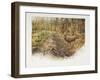 de aanloop 32-Rien Poortvliet-Framed Giclee Print