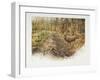 de aanloop 32-Rien Poortvliet-Framed Giclee Print