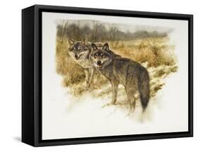 de aanloop wolf-Rien Poortvliet-Framed Stretched Canvas