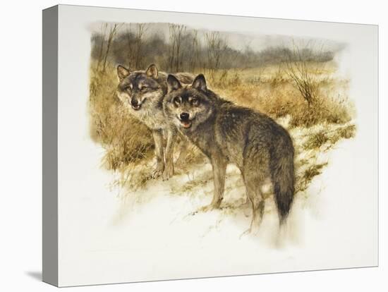 de aanloop wolf-Rien Poortvliet-Stretched Canvas