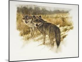 de aanloop wolf-Rien Poortvliet-Mounted Giclee Print