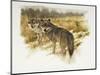 de aanloop wolf-Rien Poortvliet-Mounted Giclee Print