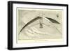 De Groof's Flying-Machine-null-Framed Giclee Print