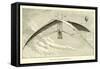 De Groof's Flying-Machine-null-Framed Stretched Canvas