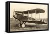 De Havilland Biplane-null-Framed Stretched Canvas