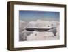 De Havilland Comet 1956-null-Framed Photographic Print