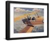 De Havilland Dh.82 Tiger Moth Basic Trainer Biplane from the 1930'S-null-Framed Art Print