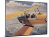 De Havilland Dh.82 Tiger Moth Basic Trainer Biplane from the 1930'S-null-Mounted Art Print