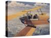 De Havilland Dh.82 Tiger Moth Basic Trainer Biplane from the 1930'S-null-Stretched Canvas