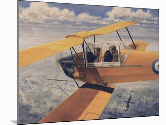 De Havilland Dh.82 Tiger Moth Basic Trainer Biplane from the 1930'S-null-Mounted Art Print