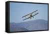 De Havilland Dh 82A Tiger Moth Biplane, Warbirds over Wanaka, Airshow, New Zealand-David Wall-Framed Stretched Canvas