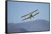 De Havilland Dh 82A Tiger Moth Biplane, Warbirds over Wanaka, Airshow, New Zealand-David Wall-Framed Stretched Canvas