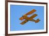 De Havilland Dh 82A Tiger Moth Biplane, Warbirds over Wanaka, Airshow, New Zealand-David Wall-Framed Photographic Print