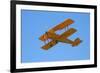 De Havilland Dh 82A Tiger Moth Biplane, Warbirds over Wanaka, Airshow, New Zealand-David Wall-Framed Photographic Print