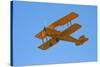 De Havilland Dh 82A Tiger Moth Biplane, Warbirds over Wanaka, Airshow, New Zealand-David Wall-Stretched Canvas