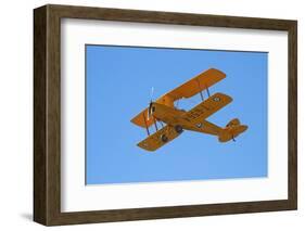 De Havilland Dh 82A Tiger Moth Biplane, Warbirds over Wanaka, Airshow, New Zealand-David Wall-Framed Photographic Print