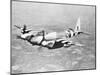 De Havilland Mosquito in Flight-null-Mounted Photographic Print