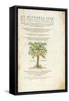 De Historia Stirpium Commentarii Insignes, by Leonard Fuchs-Heinrich Fullmaurer-Framed Stretched Canvas