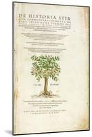 De Historia Stirpium Commentarii Insignes, by Leonard Fuchs-Heinrich Fullmaurer-Mounted Giclee Print
