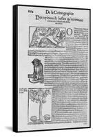 De la Cosmographie Des oyseaux & bestes quon trouve en la terre de Calicuth: item du vin des arbre-null-Framed Stretched Canvas