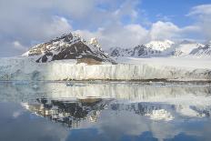 Polar Bear (Ursus Maritimus) Leaping from Sea Ice, Moselbukta, Svalbard, Norway, July 2008-de la-Stretched Canvas