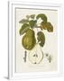Gramercy White