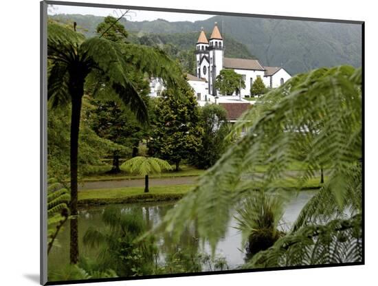 Photographic Print, , large