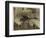 De Marco Shack for Cranberry Pickers at Forsythe's Bog-Lewis Wickes Hine-Framed Photographic Print