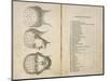 De Ville's Phrenological Head Seen from Front Side and Back-null-Mounted Art Print