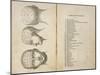 De Ville's Phrenological Head Seen from Front Side and Back-null-Mounted Art Print