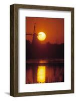 De Zwaan windmill in Windmill Island Gardens at sunrise, Holland, Michigan, USA-null-Framed Photographic Print