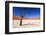 Dead Acacia Tree in Sossusvlei Pan, Namibia-Checco-Framed Photographic Print