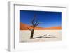 Dead Acacia Tree in Sossusvlei Pan, Namibia-Checco-Framed Photographic Print